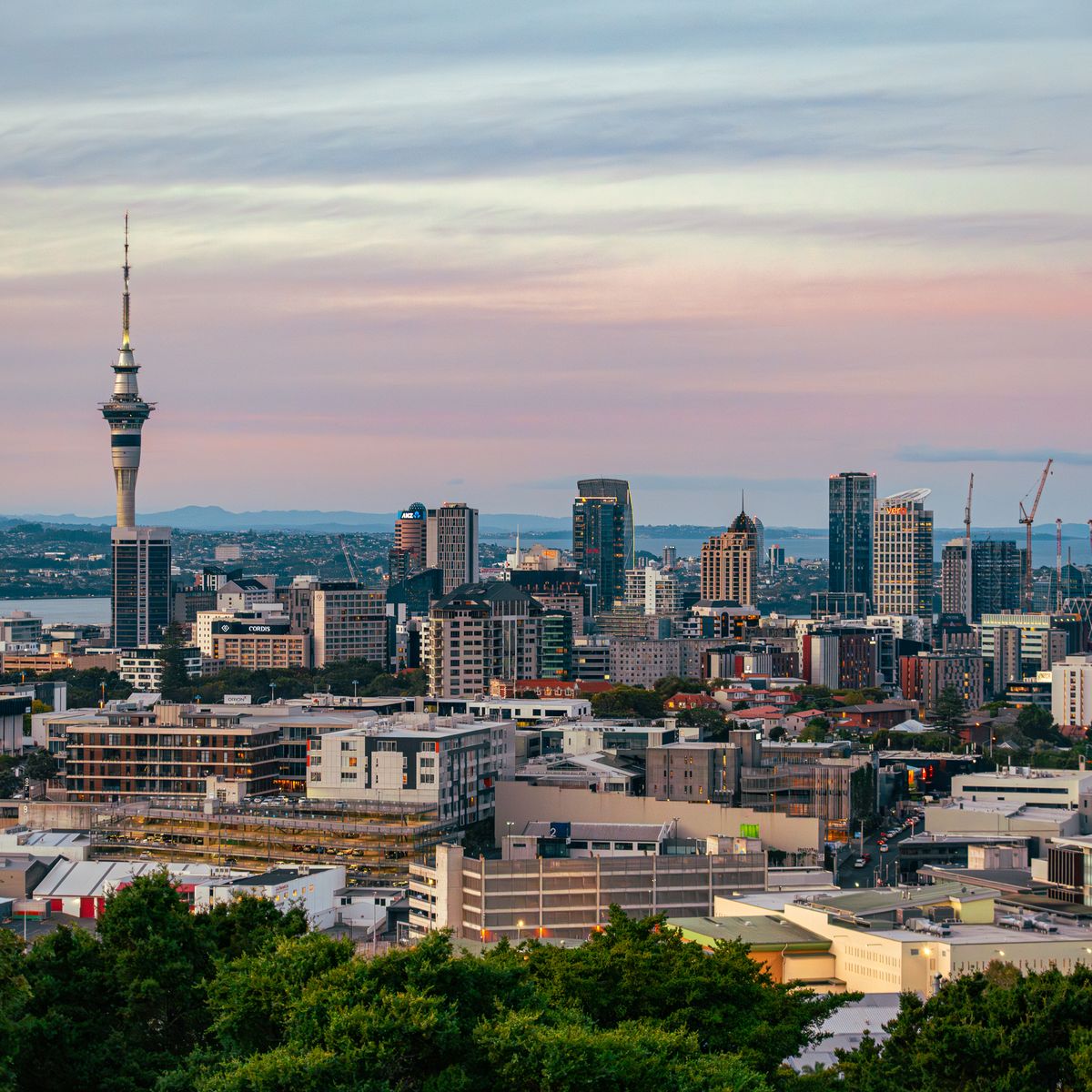 Auckland city with a view of the Sky Tower