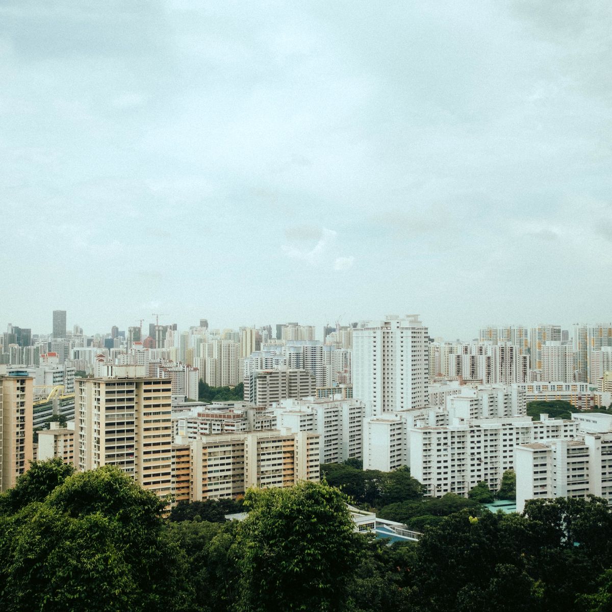 Bird's-eye view of the Singapore cityscape from Mount Faber